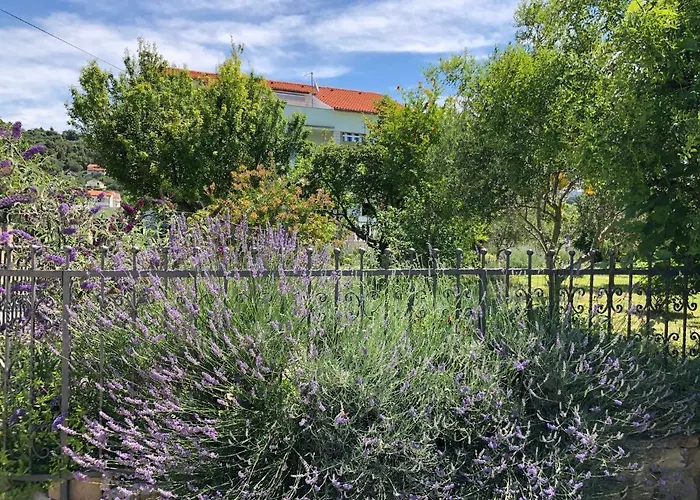 Muntidor * New Translation